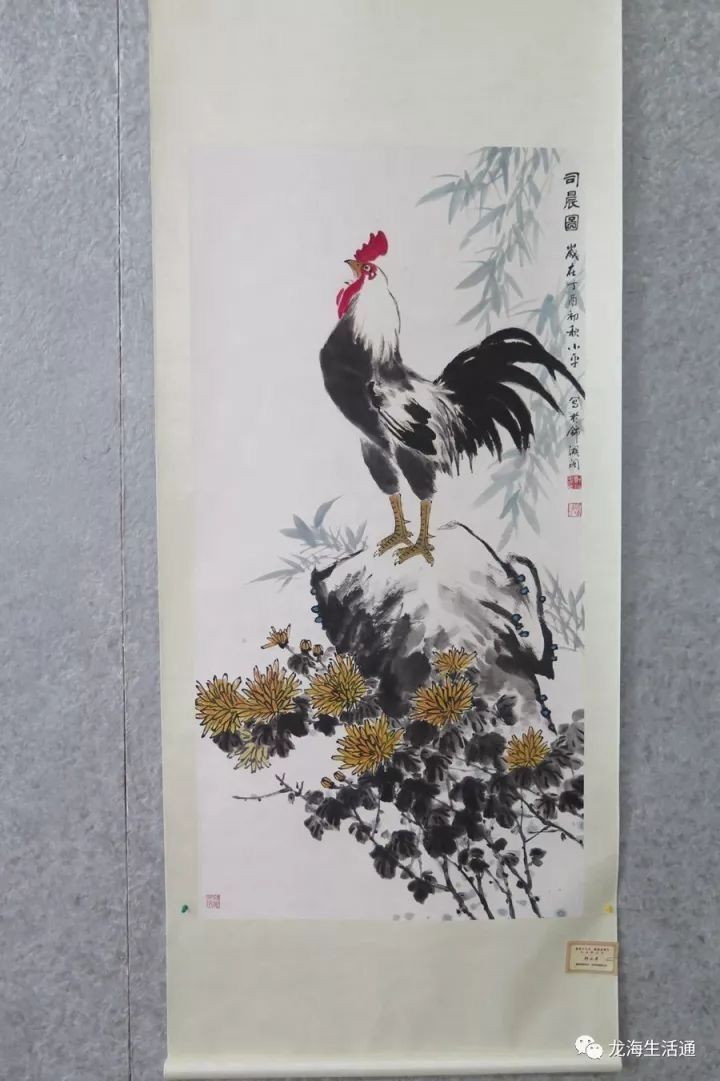 1518230385119268.jpg 6.jpg