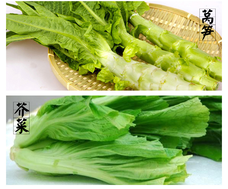 1518341242889216.jpg 9.jpg